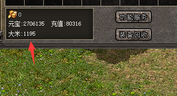新开私服大米货币截图
